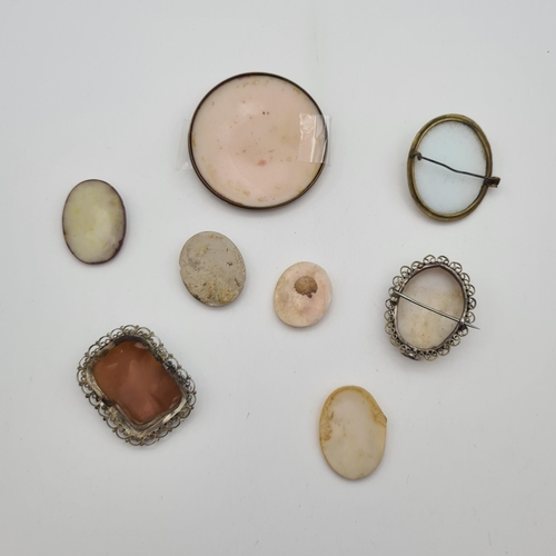 199 - A small collection of carved shell and other Cameos, some unmounted