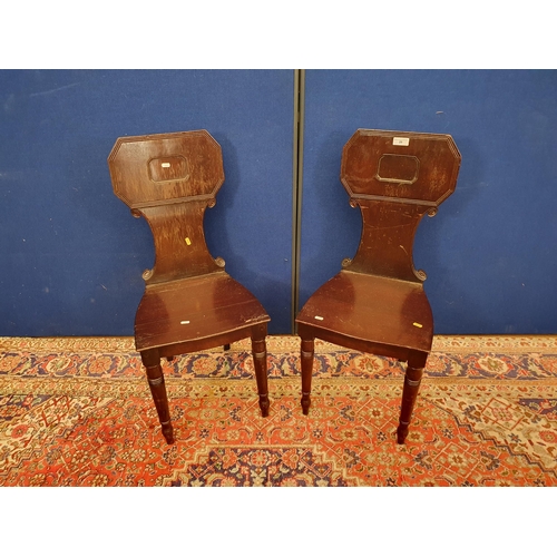 29 - A pair of 19th Century mahogany Hall Chairs (R7)