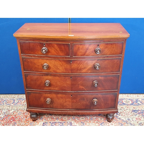 34 - A Victorian mahogany bow fronted Chest of two short and three long drawers on turned supports 3ft 6i... 