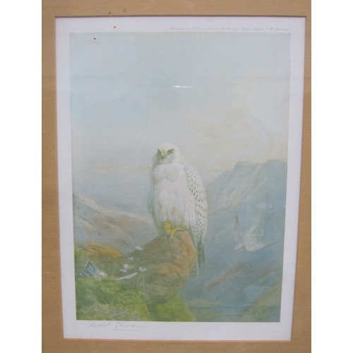 390 - AFTER ARCHIBALD THORBURN.Grouse, colour reproduction, published by The Tryon Gallery, Pl.14 x 19 in;... 