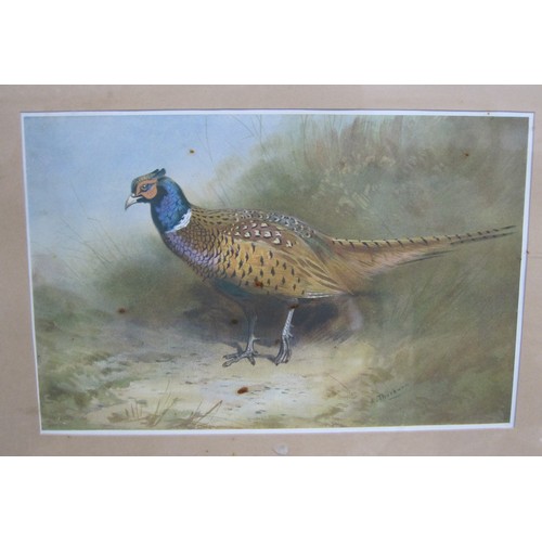 390 - AFTER ARCHIBALD THORBURN.Grouse, colour reproduction, published by The Tryon Gallery, Pl.14 x 19 in;... 