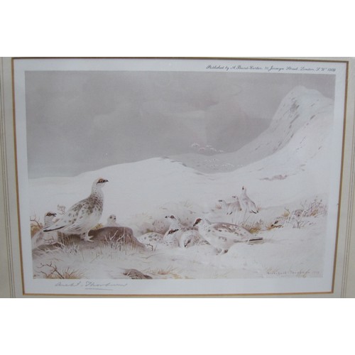 390 - AFTER ARCHIBALD THORBURN.Grouse, colour reproduction, published by The Tryon Gallery, Pl.14 x 19 in;... 