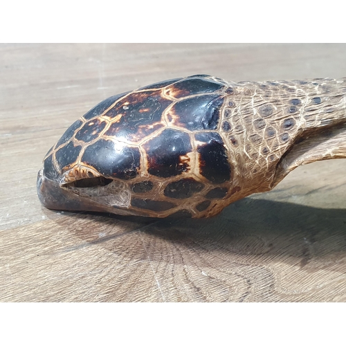 1087 - An antique taxidermy Hawksbill Turtle 2ft 4in L shell length 17inches