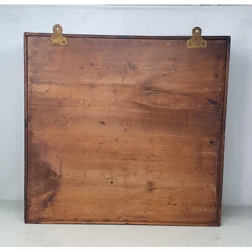 1091 - An antique ebonised and glazed taxidermy Case displaying a female Sparrowhawk watching a Stoat with ... 