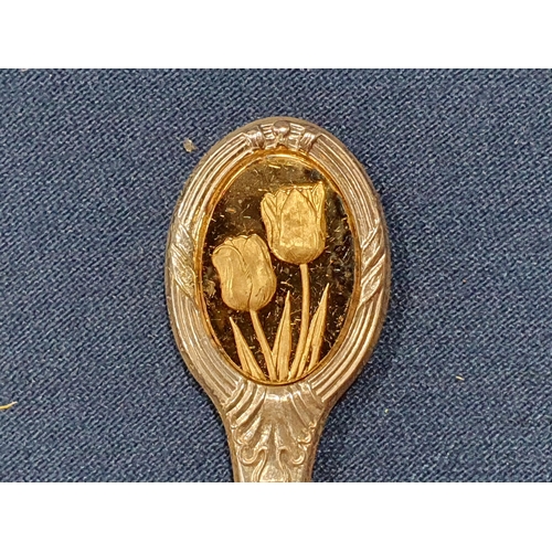 333 - A Royal Horticultural Society silver Spoon Collection, twelve Spoons in fitted wooden case