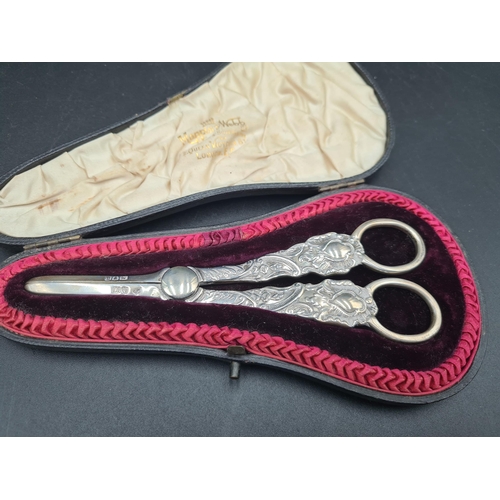 45 - A pair of Victorian silver Grape Scissors with floral and scroll design, London 1899, in original fi... 