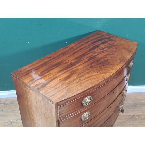 592 - A late Georgian mahogany bow front Chest of four long drawers on splay feet