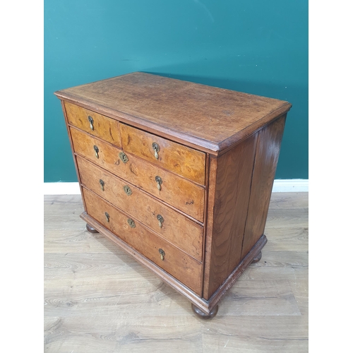 636 - A William and Mary burr walnut and oak Chest of two short and three long graduated drawers raised on... 