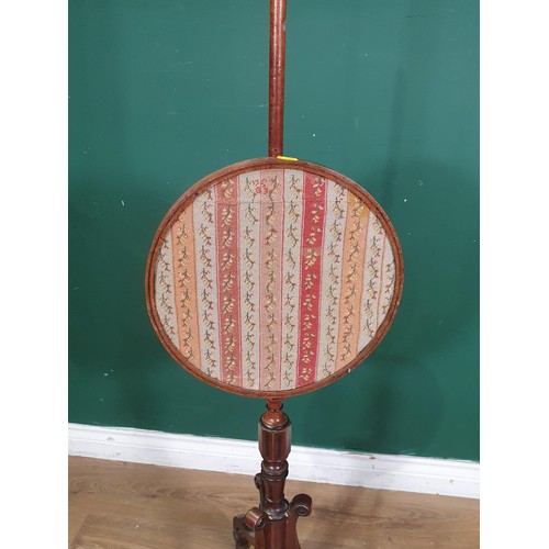 521 - A Regency Polescreen with needlework panel on scroll tripod base