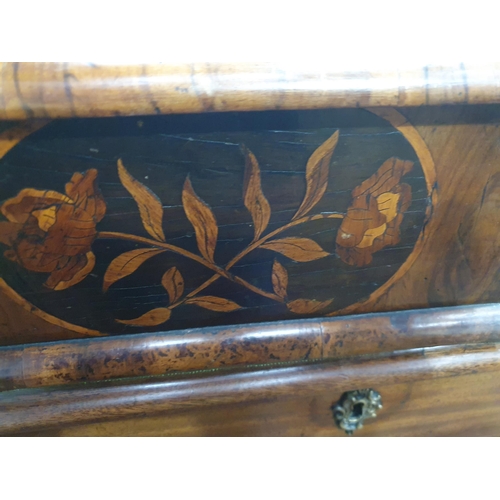 652 - A William & Mary laburnum oyster veneered and floral marquetry Lace Box with central medallion of bi... 