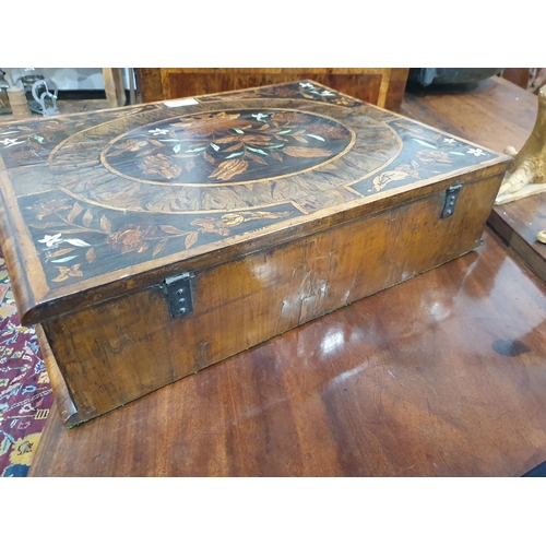 652 - A William & Mary laburnum oyster veneered and floral marquetry Lace Box with central medallion of bi... 