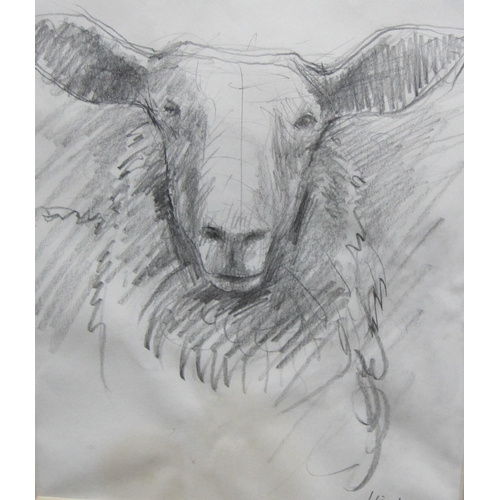 380 - PHILIP HICKS. Study of a Sheep, signed and dated 1996, pencil and black chalk, 9 1/2 x 7 1/2 in. Pro... 