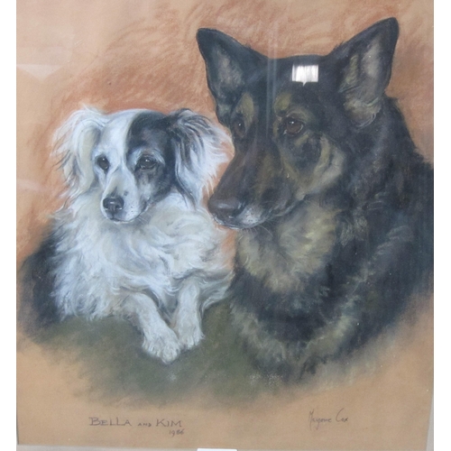 381 - MARJORIE COX. Two Dogs (Bella and Kim), signed, inscribed and dated 1986, coloured chalks and pastel... 