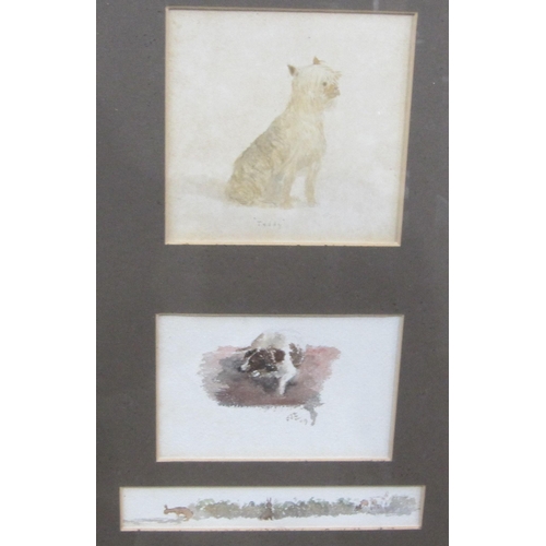 381 - MARJORIE COX. Two Dogs (Bella and Kim), signed, inscribed and dated 1986, coloured chalks and pastel... 