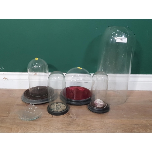 493 - Four antique glass Domes on ebonised bases and another glass Dome A/F (R5)