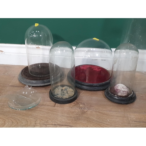 493 - Four antique glass Domes on ebonised bases and another glass Dome A/F (R5)