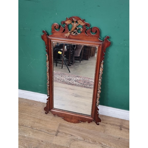 554 - A Georgian mahogany framed Wall Mirror with gilded Phoenix surmount and leafage decoration 2ft 11in ... 