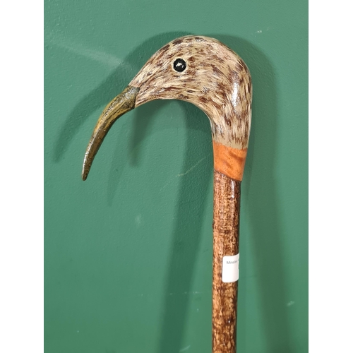 676 - A hazel Walking Stick with carved and painted curlew head handle 4ft 3in L (R7)