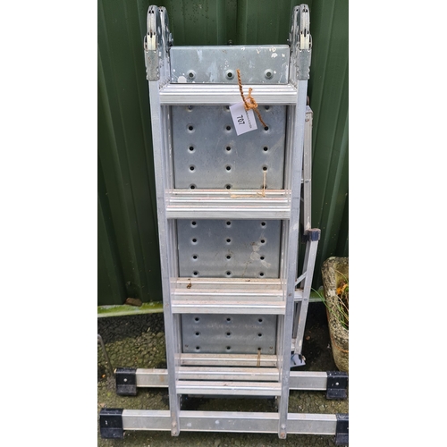 707 - A folding Ladder/Platform