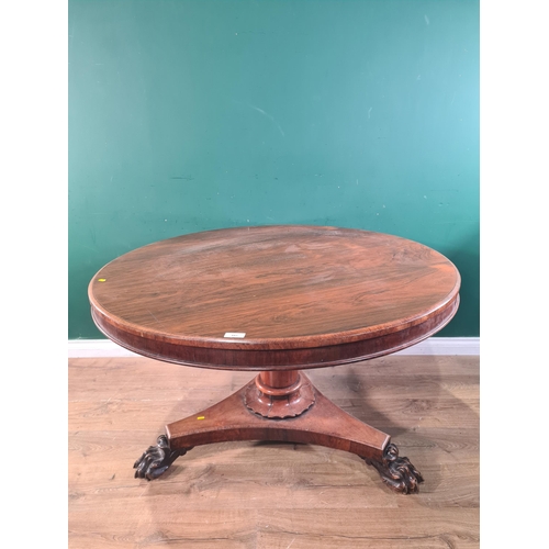 443 - A rosewood Breakfast Table raised on single pedestal and triform base, with paw feet and castors, 29... 