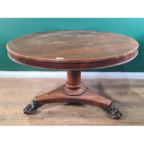 443 - A rosewood Breakfast Table raised on single pedestal and triform base, with paw feet and castors, 29... 