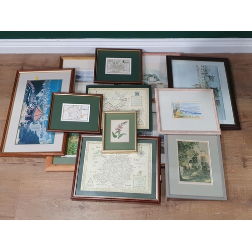 207 - A group of framed pictures and prints, to include a Map of Brother Cadfael's Shrewsbury/Shropshire, ... 