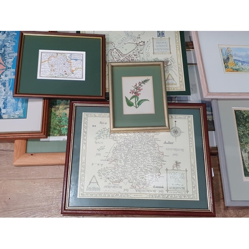 207 - A group of framed pictures and prints, to include a Map of Brother Cadfael's Shrewsbury/Shropshire, ... 