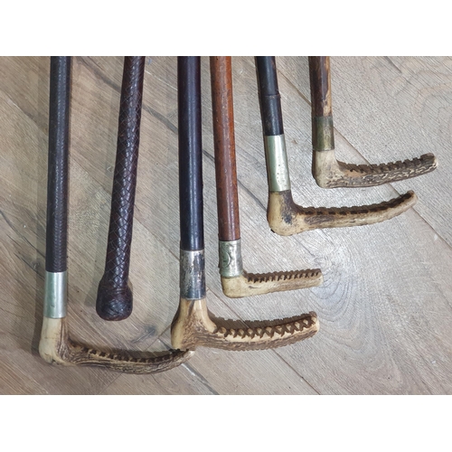 225 - Six vintage antler handled and leather Hunting Whips (R3)