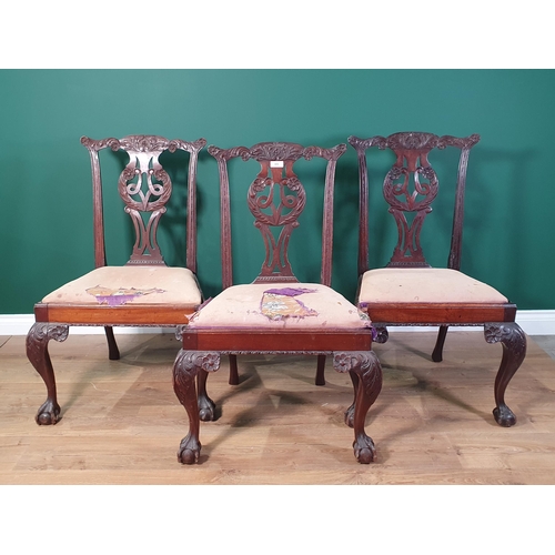 406 - Three Georgian style mahogany Dining Chairs with pierced splat back raised on carved cabriole suppor... 