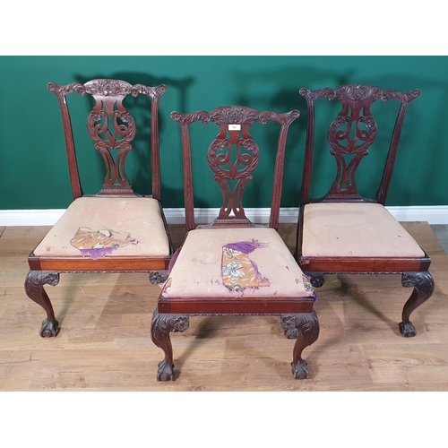 406 - Three Georgian style mahogany Dining Chairs with pierced splat back raised on carved cabriole suppor... 