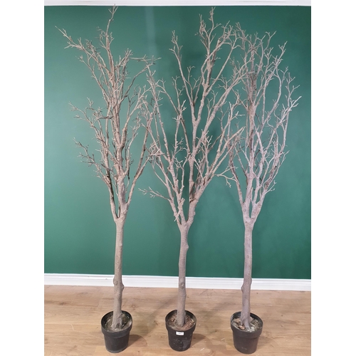 431 - Three decorative Trees (R3)