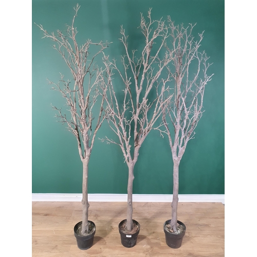 431 - Three decorative Trees (R3)