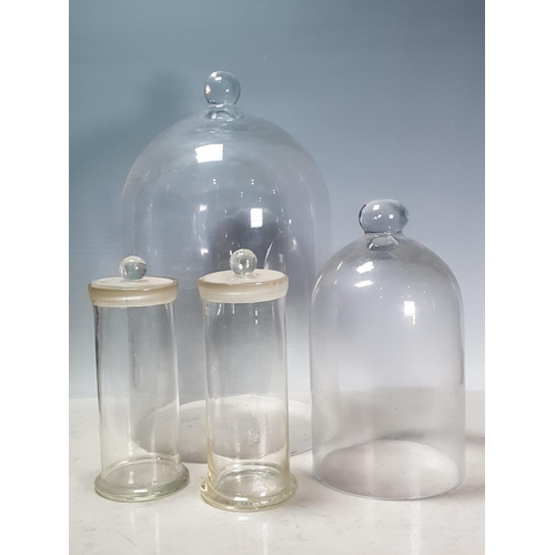 442 - Two glass Domes 16in and 10in H and two cylindrical lidded Jars 8 1/2in H (R3)