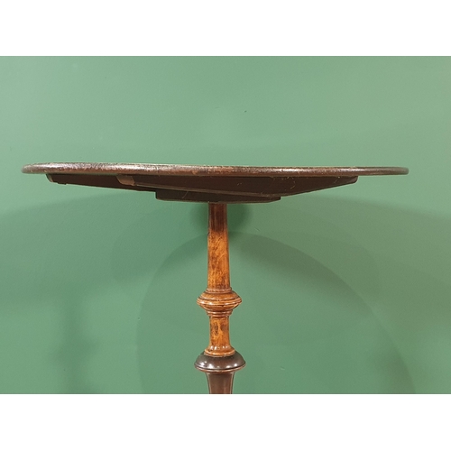 598 - A 19th Century mahogany Pillar Table with tripod base, 1ft 8in diam, (R8)