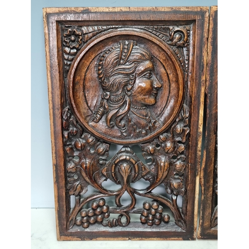 68 - A pair of antique oak carved Panels with circular portraits surrounded by fruiting vine, 15 x 9in (R... 