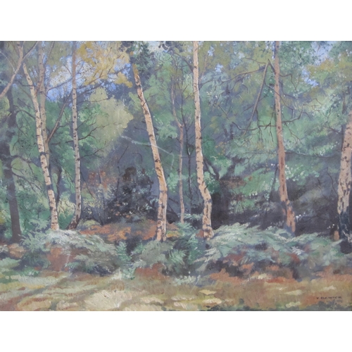 306 - VIVIAN BEWICK. A Forest Clearing, signed, oil on board, 11 x 14 3/4 in (R2)