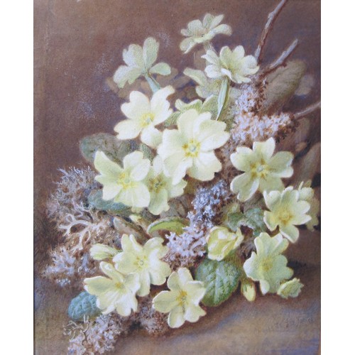 371 - CHARLOTTE JAMES. A Still Life of Primroses, signed, watercolour, 8 x 6 in; a watercolour by James Wi... 