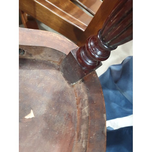 546 - A pair of Victorian mahogany Hall Chairs with carved backs and an Edwardian Elbow Chair with satinwo... 