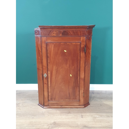 502 - A 19th Century mahogany Hanging Corner Cupboard with single door enclosing shaped shelves, 3ft 5in H... 