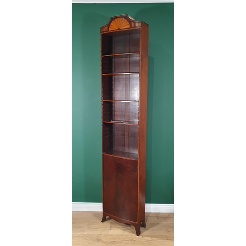 656 - A mahogany narrow Bookcase with shaped top with fan motif, four adjustable shelves above single cupb... 