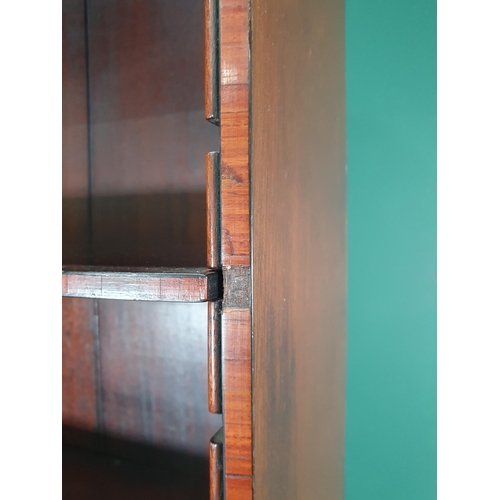 656 - A mahogany narrow Bookcase with shaped top with fan motif, four adjustable shelves above single cupb... 