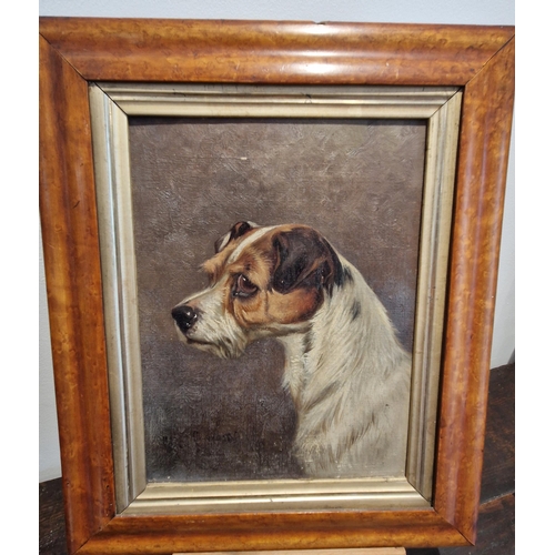 519 - COLIN GRAEME (1858-1910). Head of a Terrier, signed, oil on canvas, 10 x 7 1/2 in; two other dog stu... 