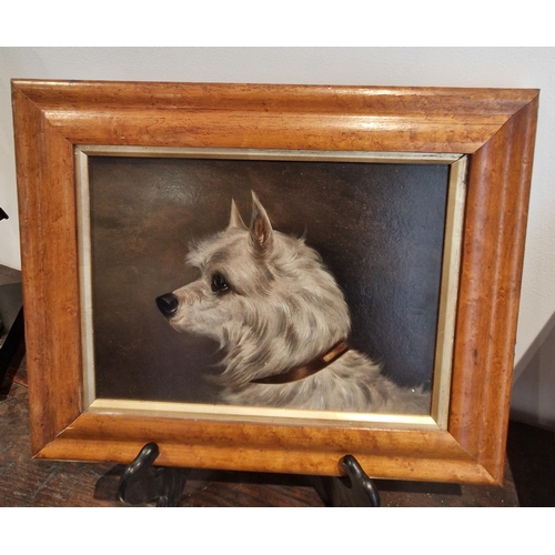 519 - COLIN GRAEME (1858-1910). Head of a Terrier, signed, oil on canvas, 10 x 7 1/2 in; two other dog stu... 