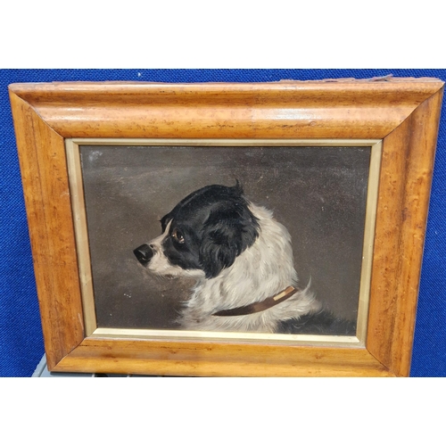 519 - COLIN GRAEME (1858-1910). Head of a Terrier, signed, oil on canvas, 10 x 7 1/2 in; two other dog stu... 