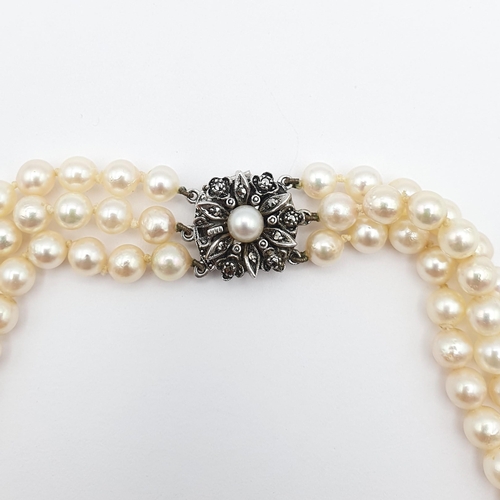 193 - A triple row of Cultured Pearls on a white metal clasp set marcasite and cultured pearl stamped SILV... 