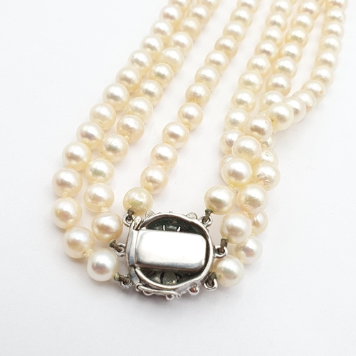 193 - A triple row of Cultured Pearls on a white metal clasp set marcasite and cultured pearl stamped SILV... 