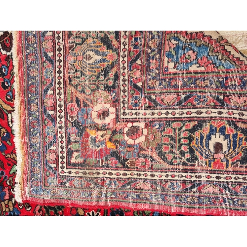 655 - A large Persian woollen Carpet with central cream diamond shaped flower head within red ground with ... 