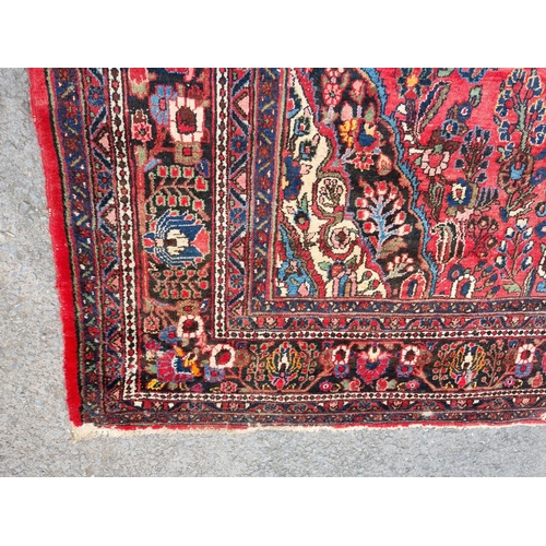 655 - A large Persian woollen Carpet with central cream diamond shaped flower head within red ground with ... 