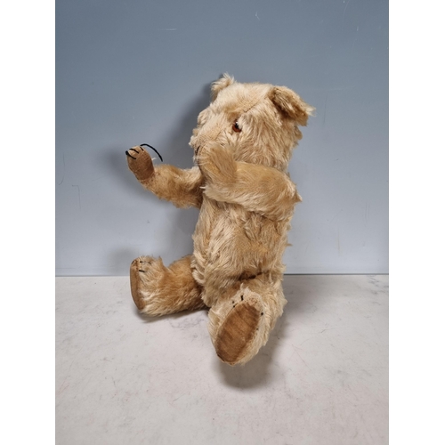 689 - A Steiff Papa Lion 1ft L, a Steiff Lioness 8.5