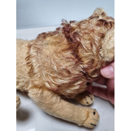 689 - A Steiff Papa Lion 1ft L, a Steiff Lioness 8.5